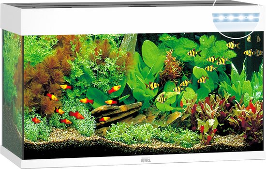 Juwel Rio LED
